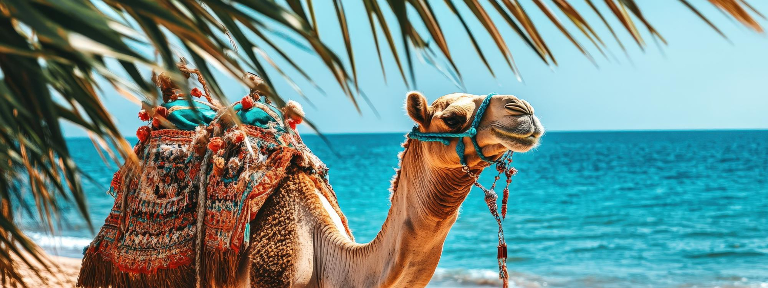 Hurghada